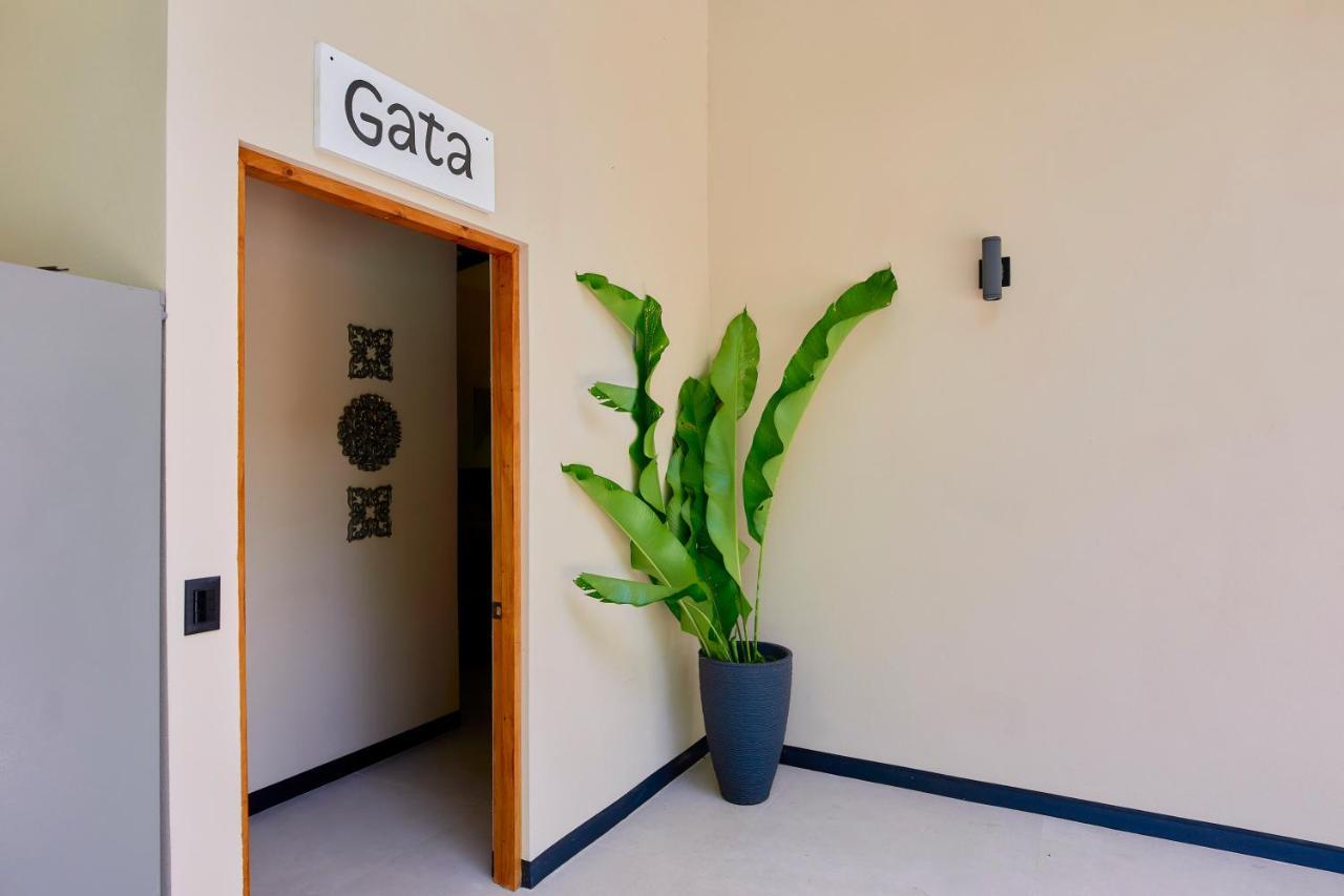 Lalola Villa Privada Cahuita Exteriör bild